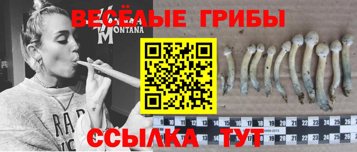 Псилоцибиновые грибы прущие грибы Смоленск